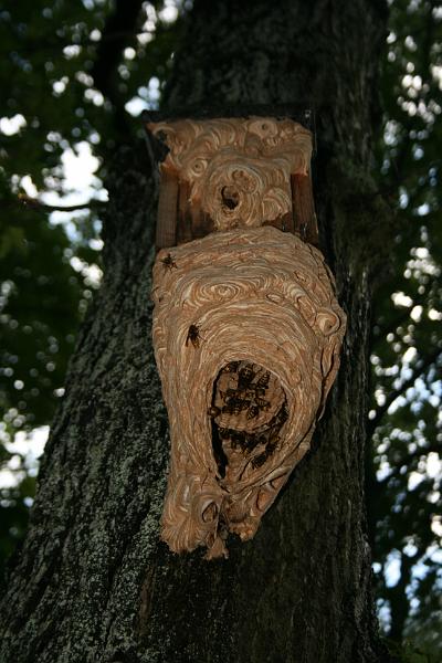 Hochwasser20070822 0011.JPG